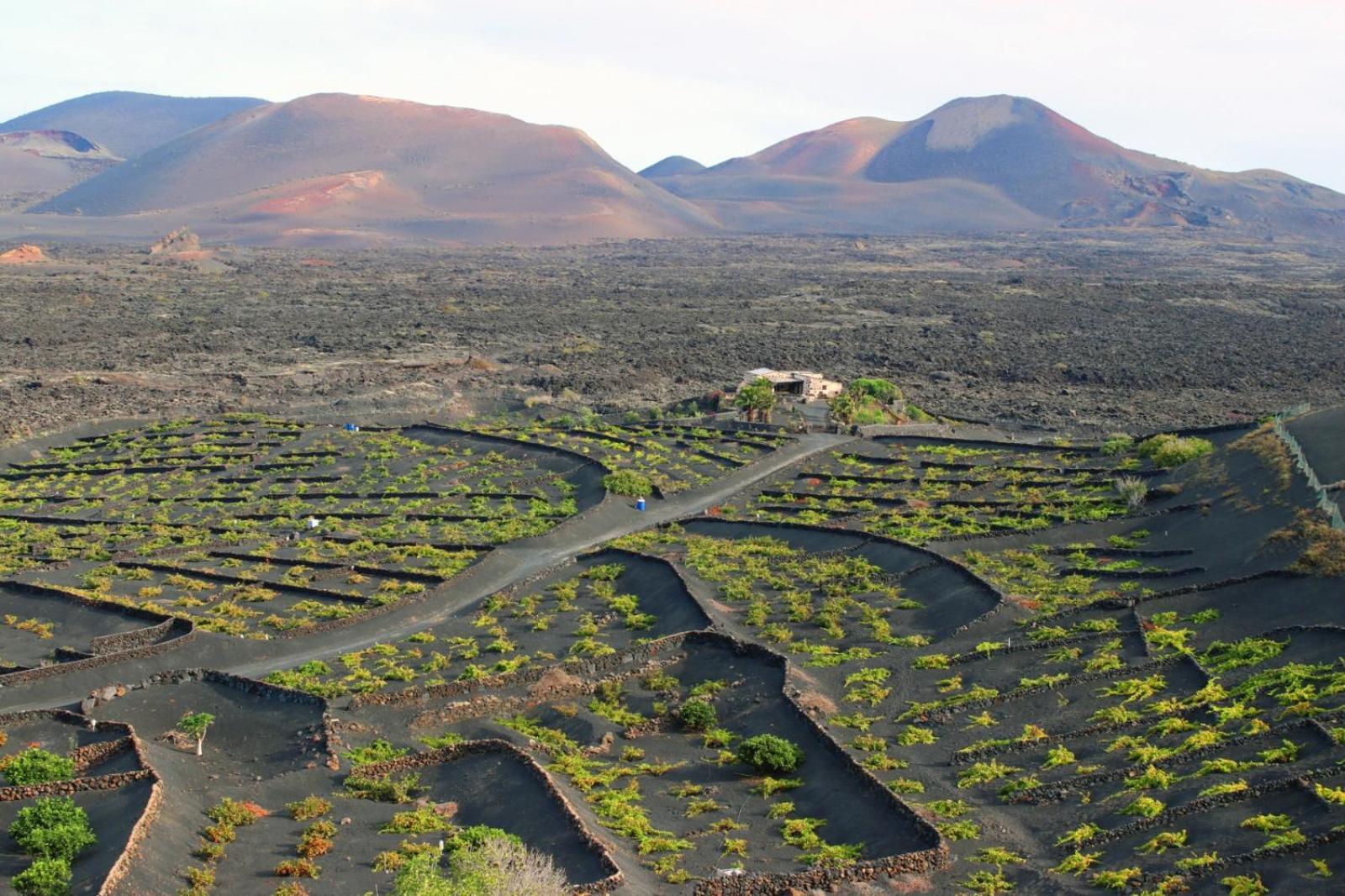Casa Rural Vega De Timanfaya Uga エクステリア 写真